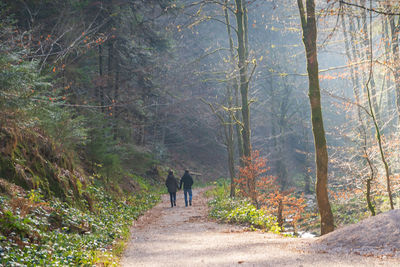 Rear view of people walking on road in forest