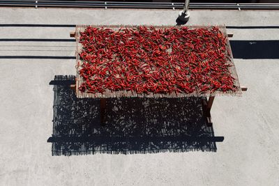 High angle view of red chili peppers drying on camp bed