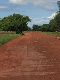 Trees on field against sky