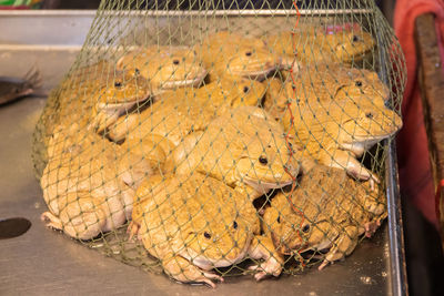 High angle view of fish on market stall