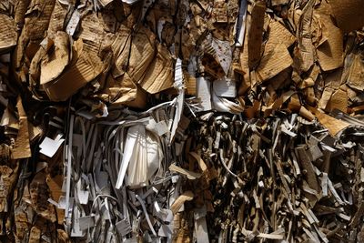 Bales of pressed cardboard