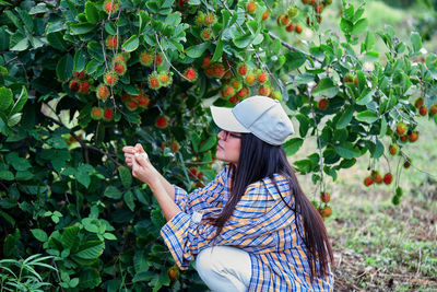 Agriculture woman sitting under rambutan tree in the orchard