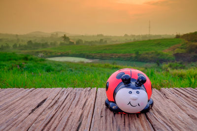 Toy on field by land against sky during sunset