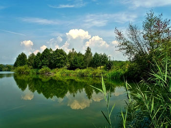 Scenic view of lake by trees against sky