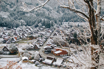 High angle view of snow covered trees and houses
