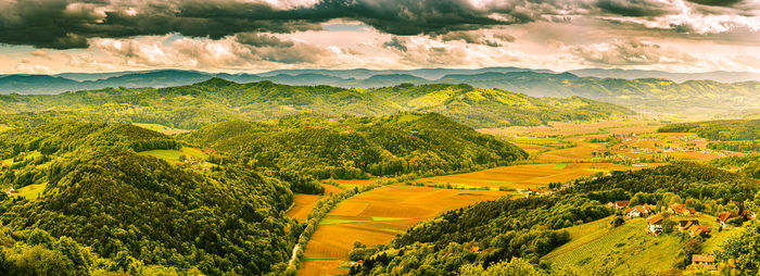 Aerial panorama of of green hills and vineyards with mountains. austria vineyards landscape.