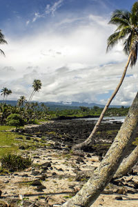 Scenic view of landscape against cloudy sky