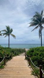 Scenic view of palm trees on beach against sky