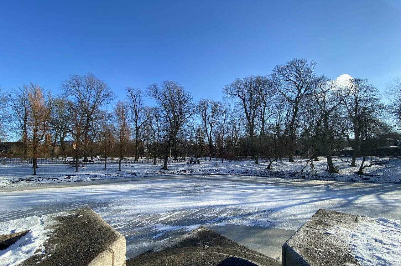 winter, tree, snow, cold temperature, sky, nature, plant, ice, environment, scenics - nature, no people, blue, freezing, frozen, landscape, beauty in nature, bare tree, water, tranquility, day, land, tranquil scene, outdoors, clear sky, frost, non-urban scene, reflection, white, sunlight