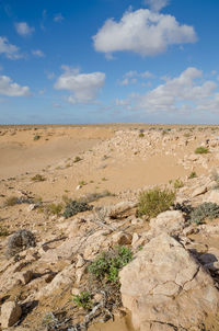 Scenic view of desert against sky