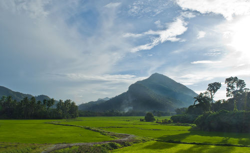 Scenic view of landscape against sky