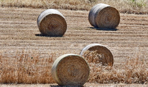 Hay bales on field