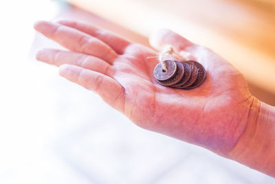 Close-up of snail on hand