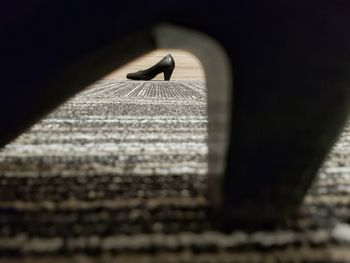 Close-up of bird