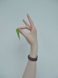 Cropped hand of woman holding leaf while gesturing horn sign against white background