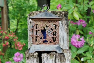 Close-up of old wooden door in garden