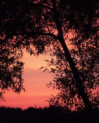 Low angle view of silhouette trees against sky during sunset