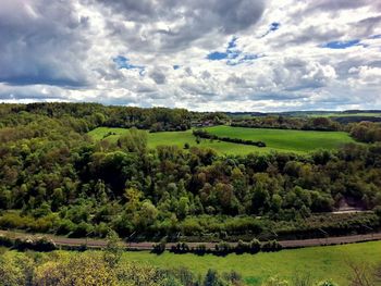 Scenic view of agricultural field against sky