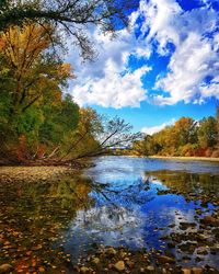 Reflection of trees in lake