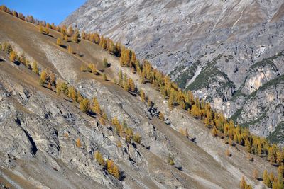 Scenic view of rocky mountains