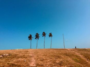 Low angle view of palm trees against clear blue sky