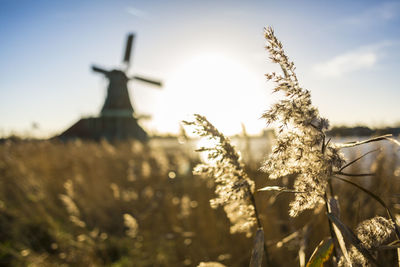 Windmill on landscape at clear sky