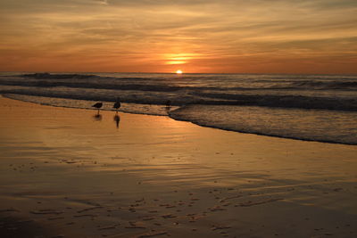 Scenic view of beach during sunset