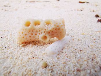 Close-up of cake on sand