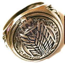 Close-up of object over white background