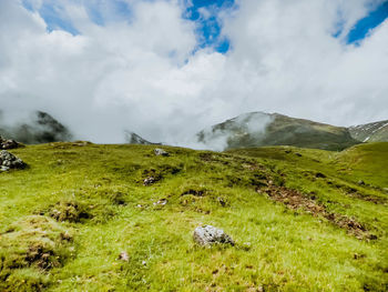 Scenic view of landscape against sky