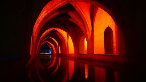 Reflection of illuminated building in water