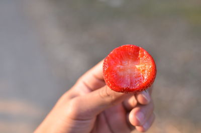 Cropped image of hand holding strawberry