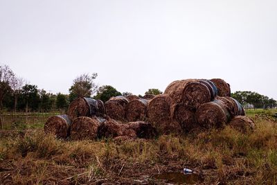 Hay bales on field against clear sky