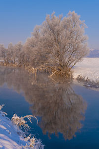 Scenic view of snow covered landscape