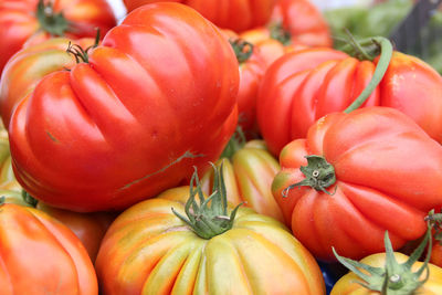 Close-up of pumpkins for sale