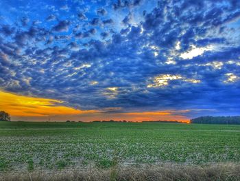 Scenic view of field against sky during sunset