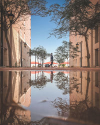 Reflection of trees in puddle on canal against sky in city