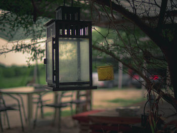 Empty chairs and table against trees in yard