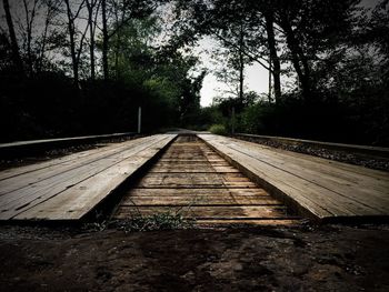 Railroad tracks amidst trees against sky