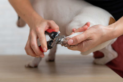 Midsection of woman working on table