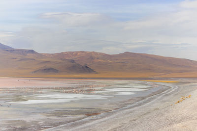 Scenic view of desert against sky