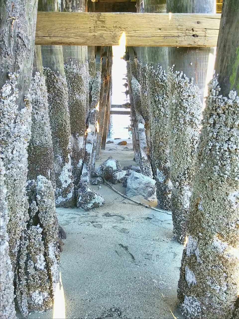 built structure, architecture, tree, railing, water, bridge - man made structure, sunlight, day, no people, nature, outdoors, connection, wood - material, shadow, wall - building feature, tree trunk, steps, tranquility, river, low angle view