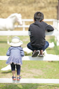 Rear view of siblings on fence at ranch