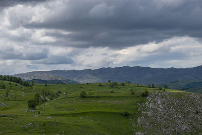 Scenic view of field against sky