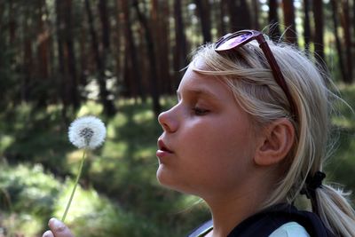 Close-up of girl holding dandelion at forest