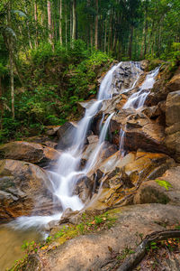 View of waterfall in forest