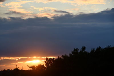 Low angle view of silhouette trees against sky during sunset