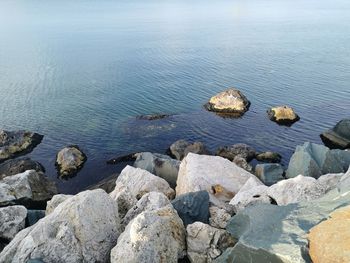 High angle view of rocks on beach