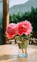 Pink peony flowers stand in a glass vase on the table