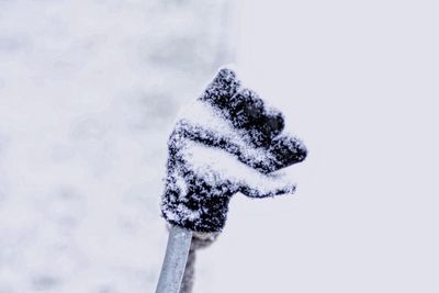 Close-up of snow on white background